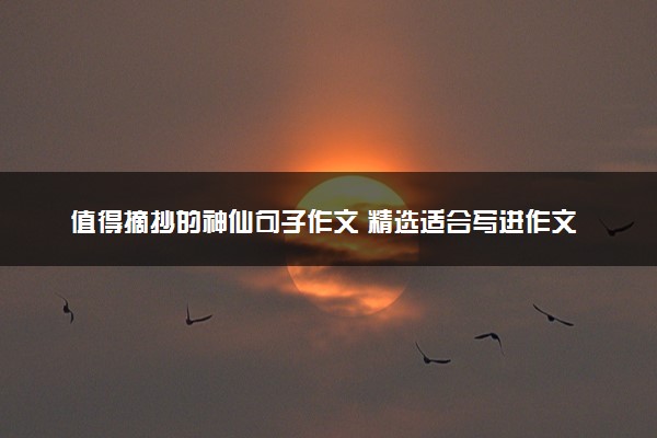值得摘抄的神仙句子作文 精选适合写进作文的句子