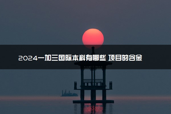 2024一加三国际本科有哪些 项目的含金量高吗