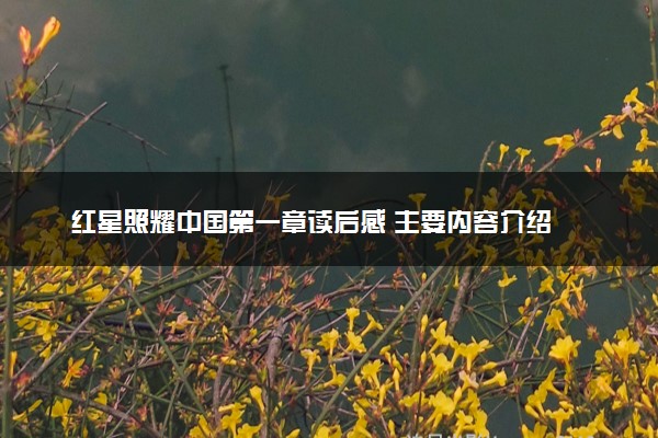 红星照耀中国第一章读后感 主要内容介绍