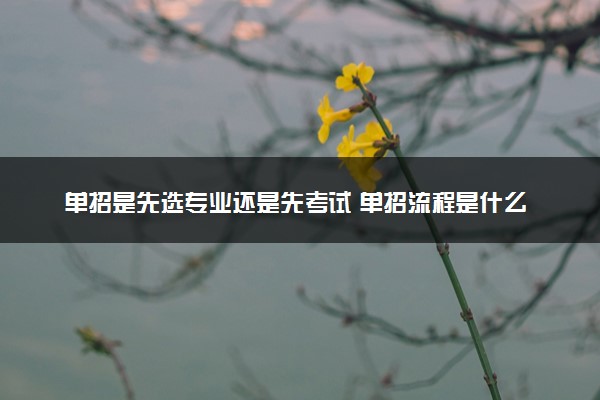 单招是先选专业还是先考试 单招流程是什么