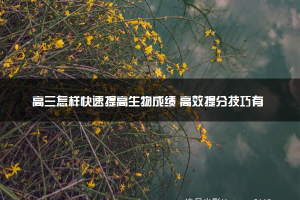 高三怎样快速提高生物成绩 高效提分技巧有哪些