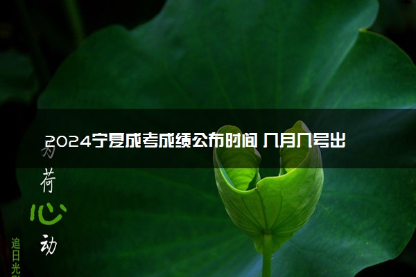 2024宁夏成考成绩公布时间 几月几号出分