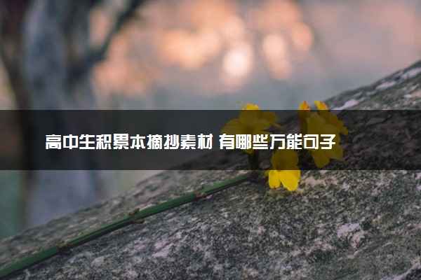 高中生积累本摘抄素材 有哪些万能句子