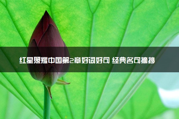红星照耀中国第2章好词好句 经典名句摘抄