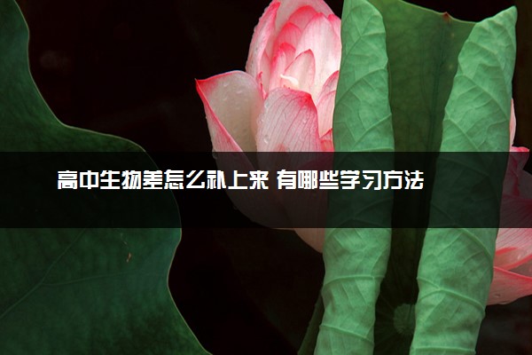 高中生物差怎么补上来 有哪些学习方法
