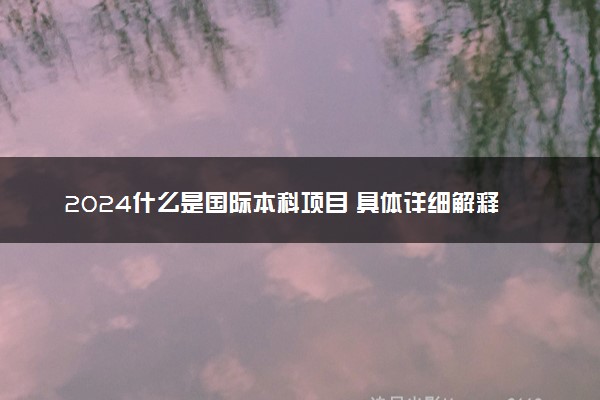 2024什么是国际本科项目 具体详细解释