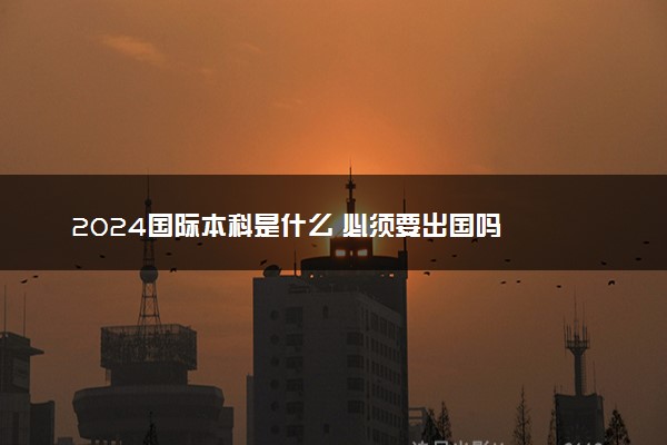 2024国际本科是什么 必须要出国吗