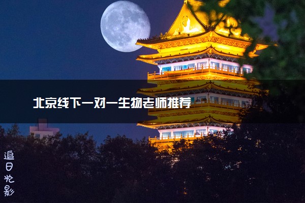北京线下一对一生物老师推荐