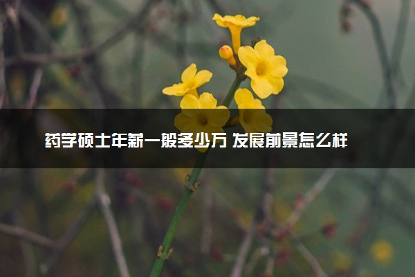 药学硕士年薪一般多少万 发展前景怎么样