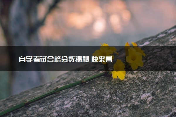 自学考试合格分数揭秘 快来看