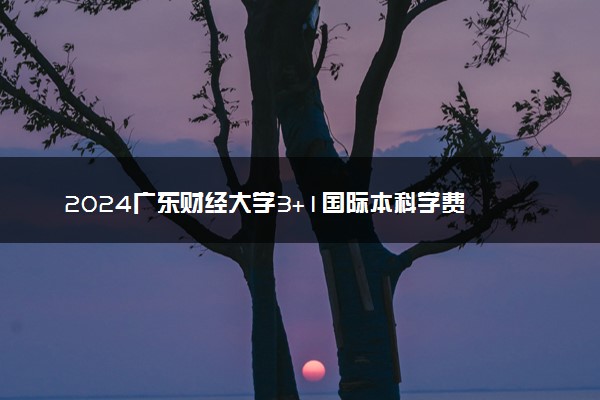 2024广东财经大学3+1国际本科学费