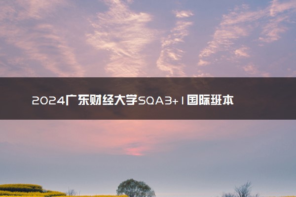 2024广东财经大学SQA3+1国际班本科专业
