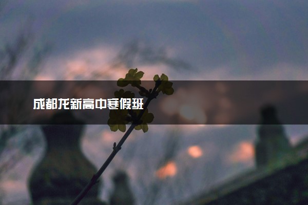 成都龙新高中寒假班