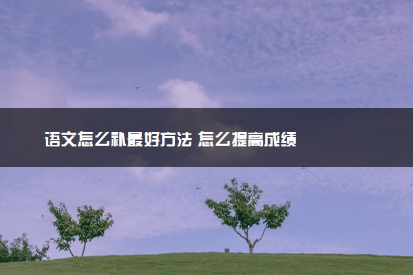 语文怎么补最好方法 怎么提高成绩