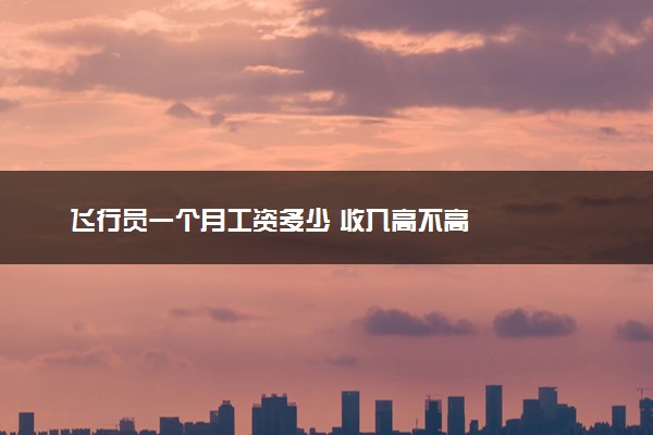 飞行员一个月工资多少 收入高不高