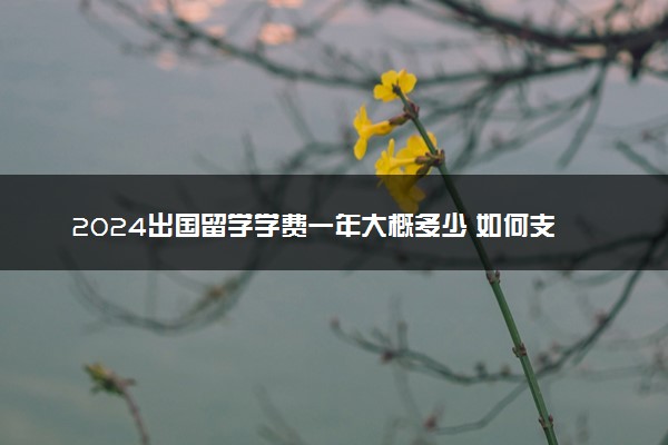 2024出国留学学费一年大概多少 如何支付