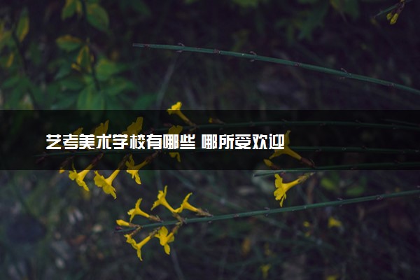 艺考美术学校有哪些 哪所受欢迎