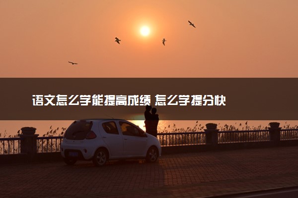 语文怎么学能提高成绩 怎么学提分快