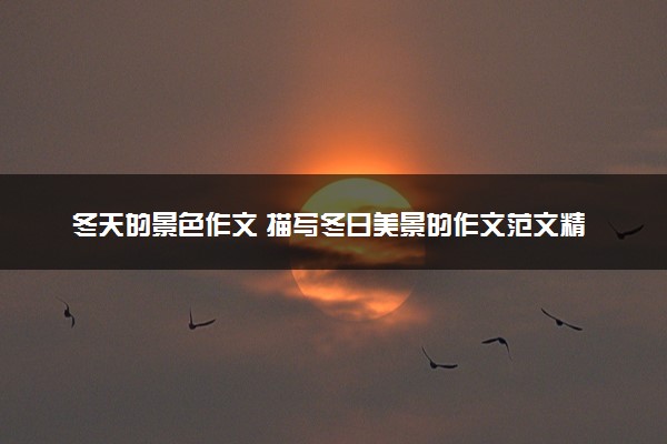 冬天的景色作文 描写冬日美景的作文范文精选