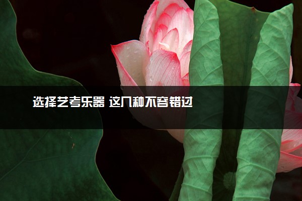 选择艺考乐器 这几种不容错过