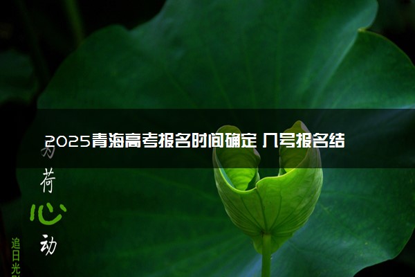 2025青海高考报名时间确定 几号报名结束