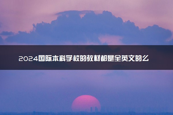 2024国际本科学校的教材都是全英文的么 具体课程内容