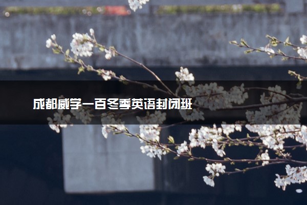 成都威学一百冬季英语封闭班