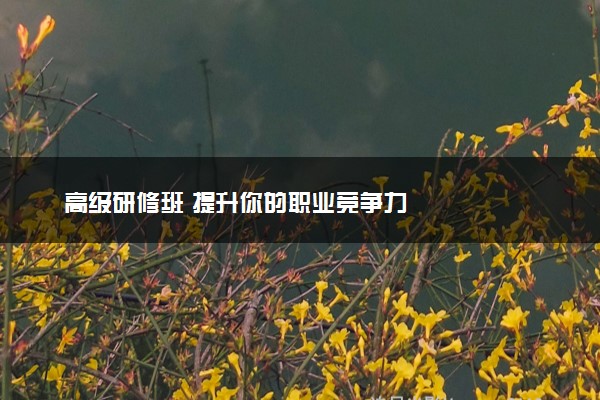 高级研修班 提升你的职业竞争力