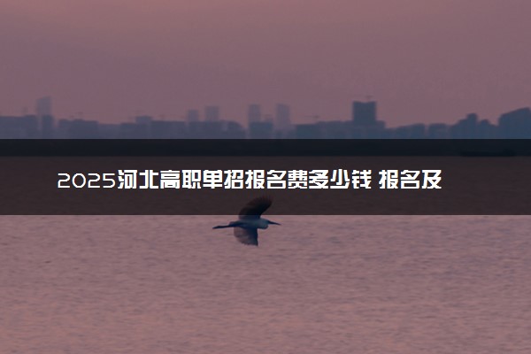 2025河北高职单招报名费多少钱 报名及缴费入口