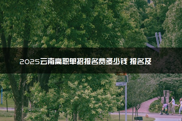 2025云南高职单招报名费多少钱 报名及缴费入口