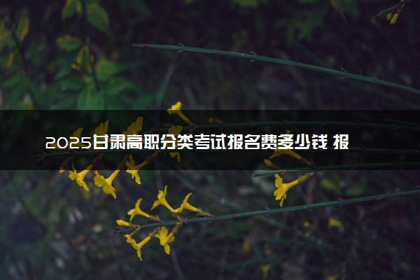 2025甘肃高职分类考试报名费多少钱 报名及缴费入口