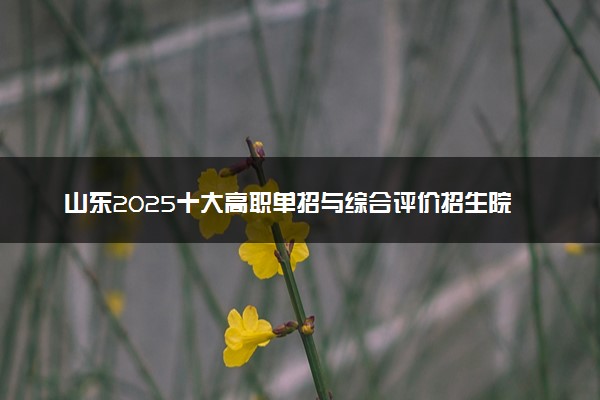 山东2025十大高职单招与综合评价招生院校排名 哪些值得推荐