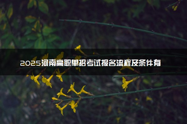 2025河南高职单招考试报名流程及条件有哪些