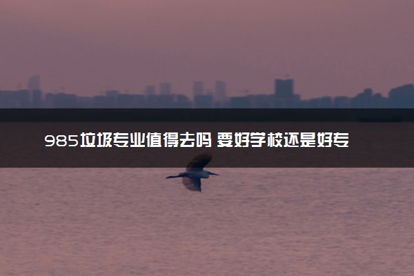 985垃圾专业值得去吗 要好学校还是好专业