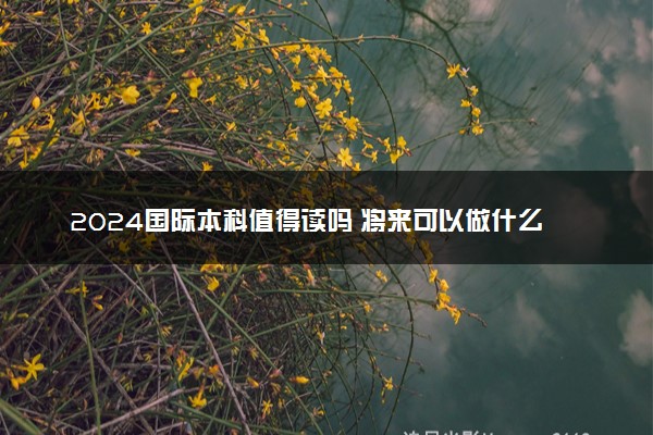 2024国际本科值得读吗 将来可以做什么工作