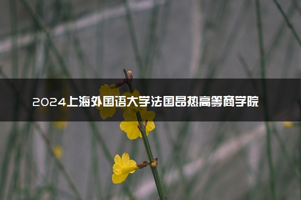 2024上海外国语大学法国昂热高等商学院2+2中外合作办学项目