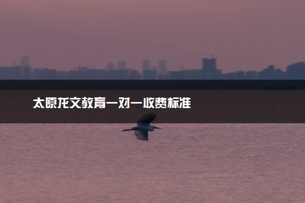 太原龙文教育一对一收费标准