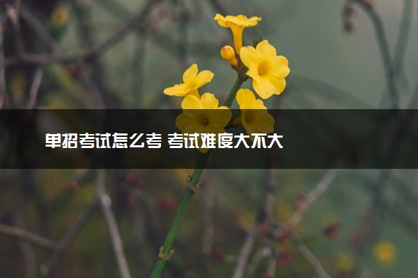 单招考试怎么考 考试难度大不大