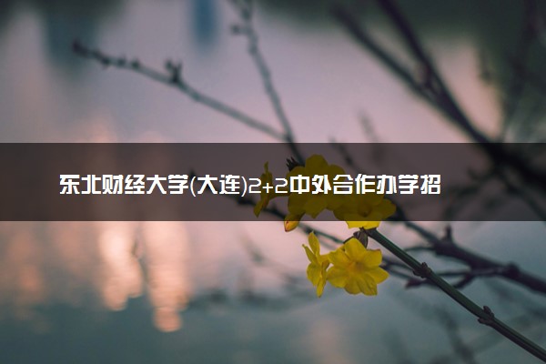 东北财经大学（大连）2+2中外合作办学招生简章