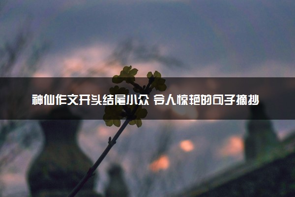 神仙作文开头结尾小众 令人惊艳的句子摘抄