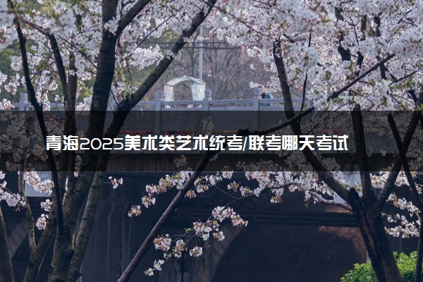 青海2025美术类艺术统考/联考哪天考试 考完后多久出分