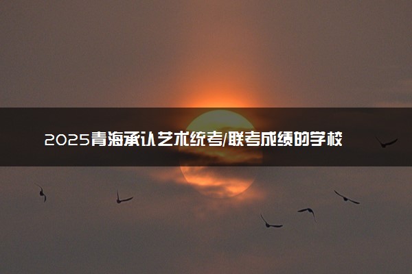 2025青海承认艺术统考/联考成绩的学校及专业 最新汇总