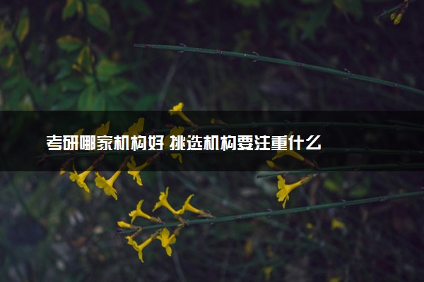 考研哪家机构好 挑选机构要注重什么