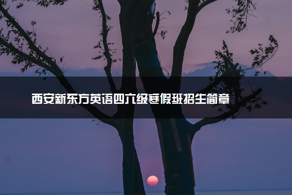 西安新东方英语四六级寒假班招生简章