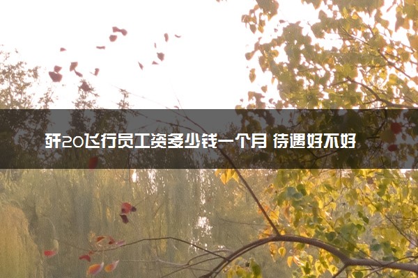 歼20飞行员工资多少钱一个月 待遇好不好