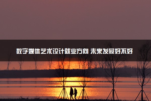 数字媒体艺术设计就业方向 未来发展好不好