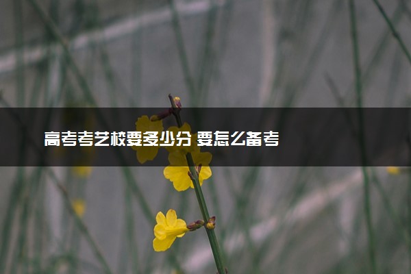 高考考艺校要多少分 要怎么备考