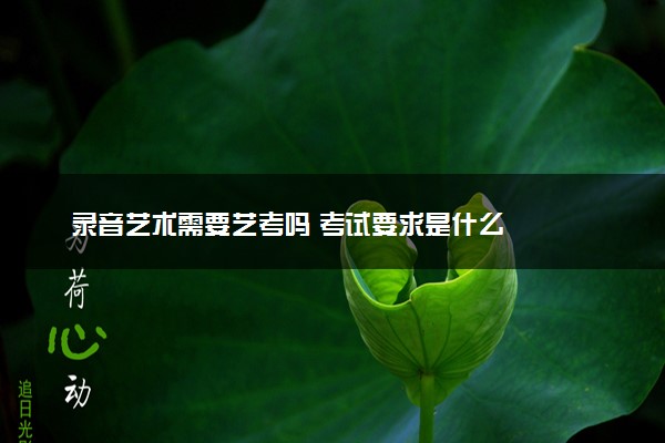 录音艺术需要艺考吗 考试要求是什么