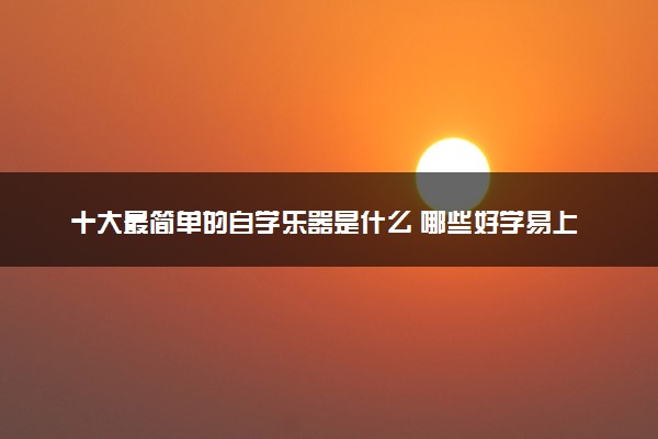 十大最简单的自学乐器是什么 哪些好学易上手
