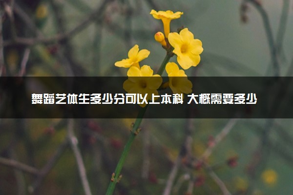 舞蹈艺体生多少分可以上本科 大概需要多少分